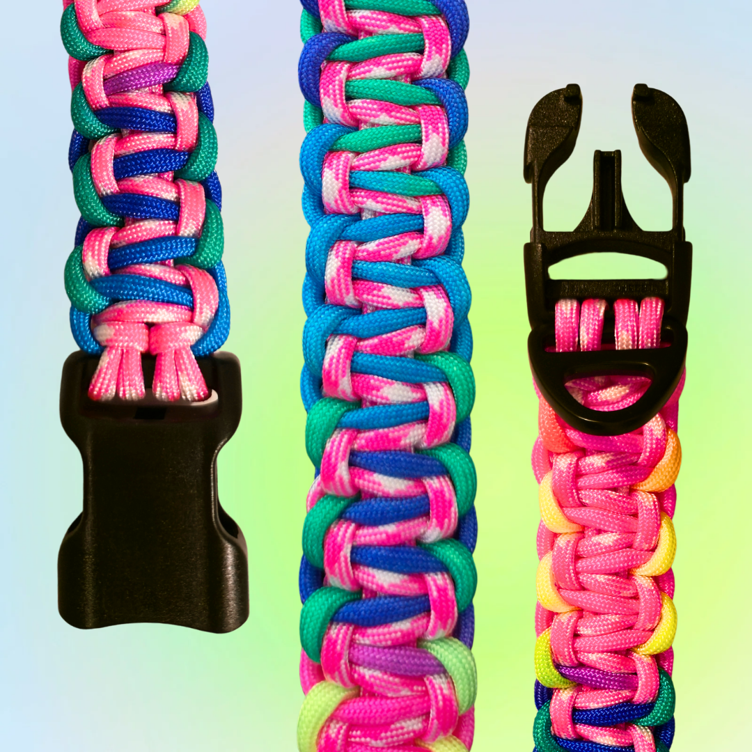 Large Two Color Solomon Dog Collar