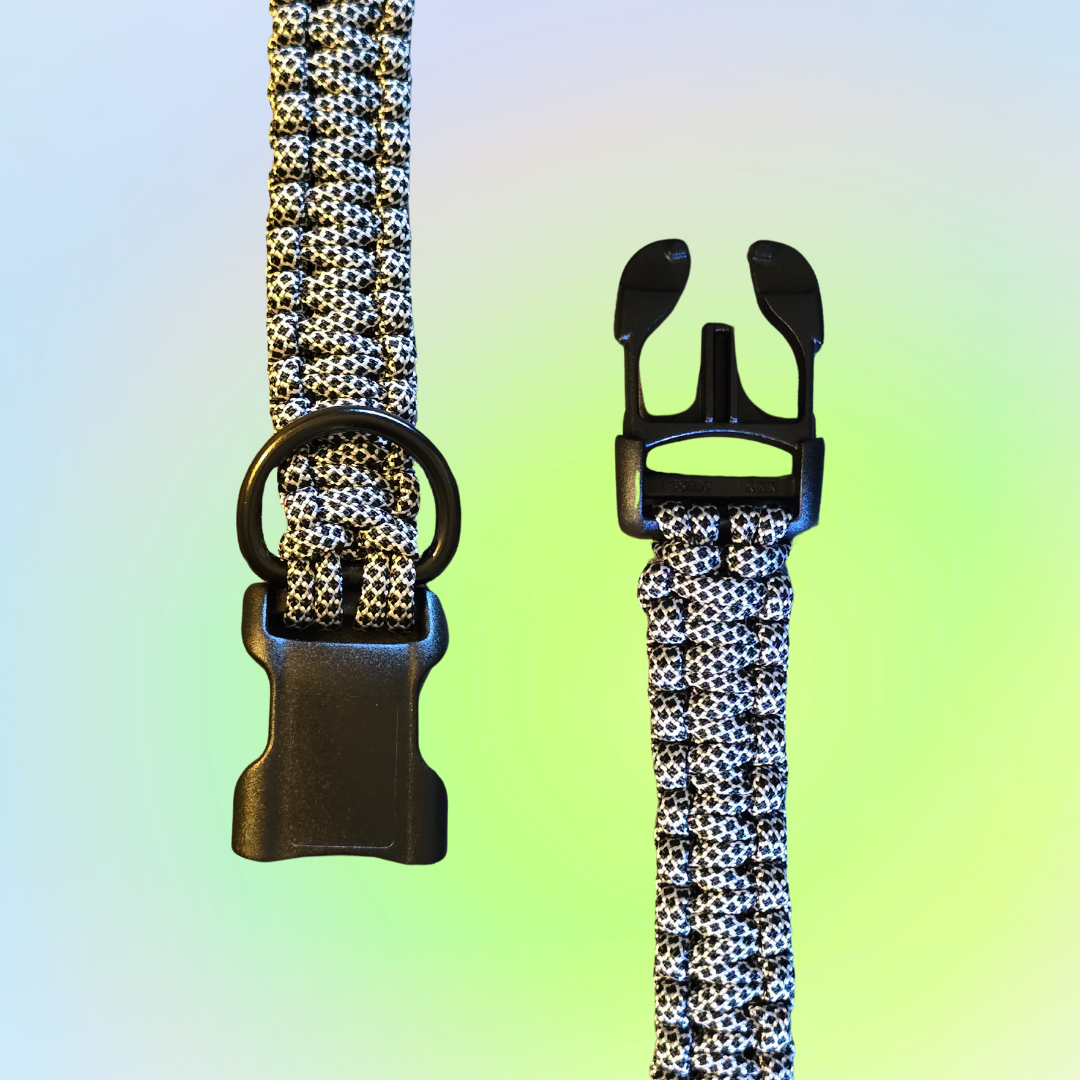 Medium One Color Square Knot Dog Collar