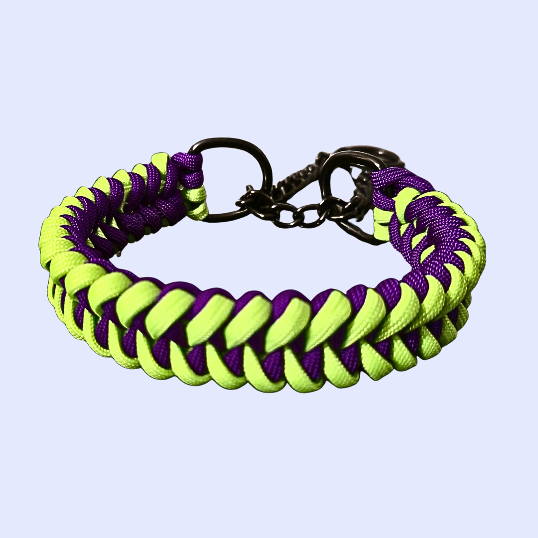 Martingale Check Chain Dog Collar