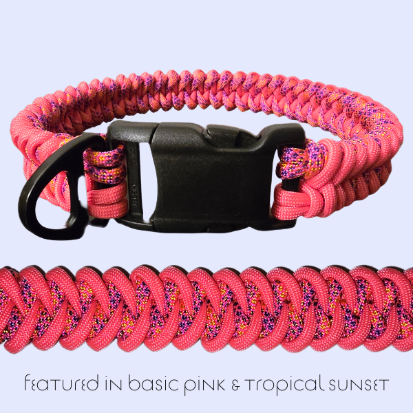 Shark Tooth Dog Collar