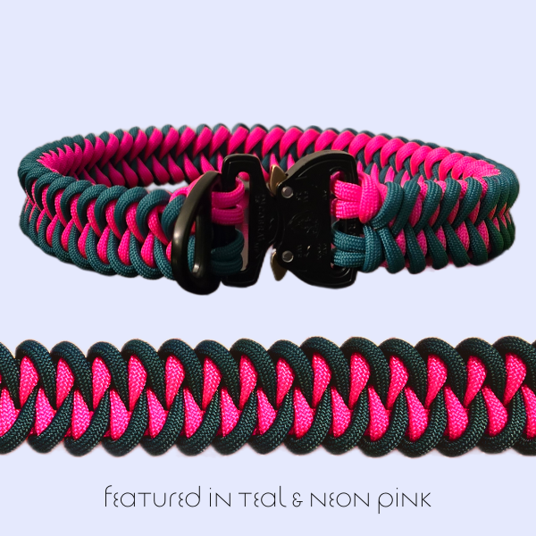 Shark Tooth Dog Collar