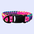 Solomon Dog Collar