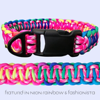 Solomon Dog Collar