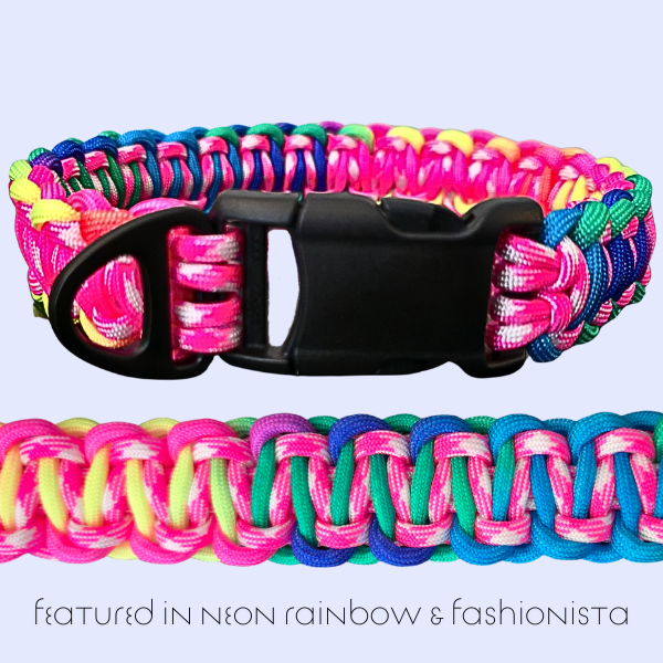 Solomon Dog Collar