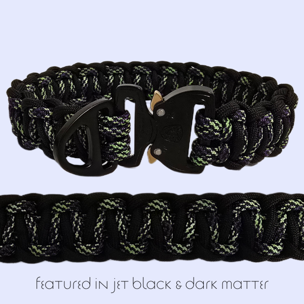 Solomon Dog Collar