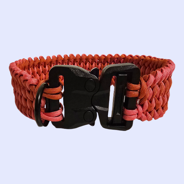 Manta Ray Dog Collar