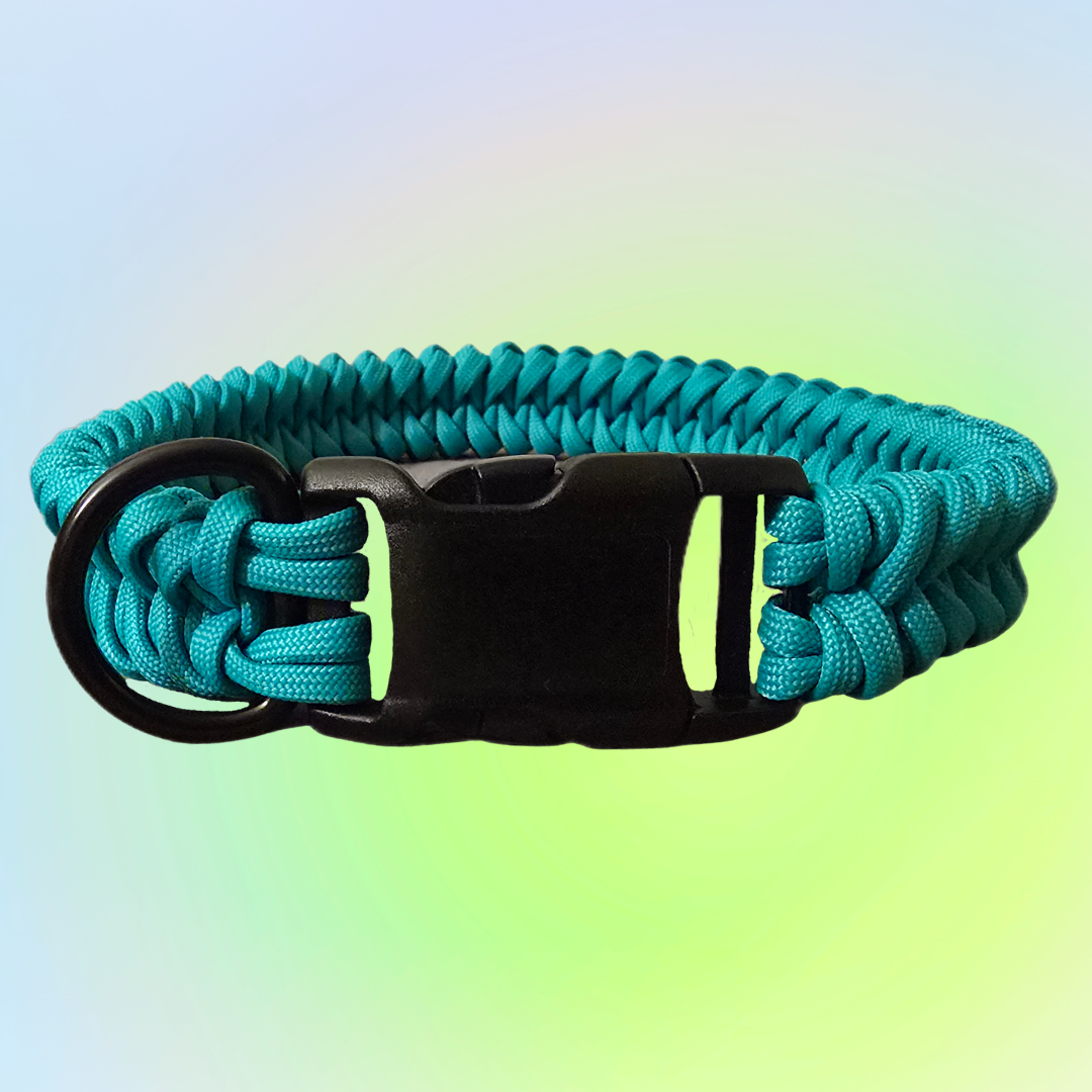 Small One Color Shark Knot Dog Collar
