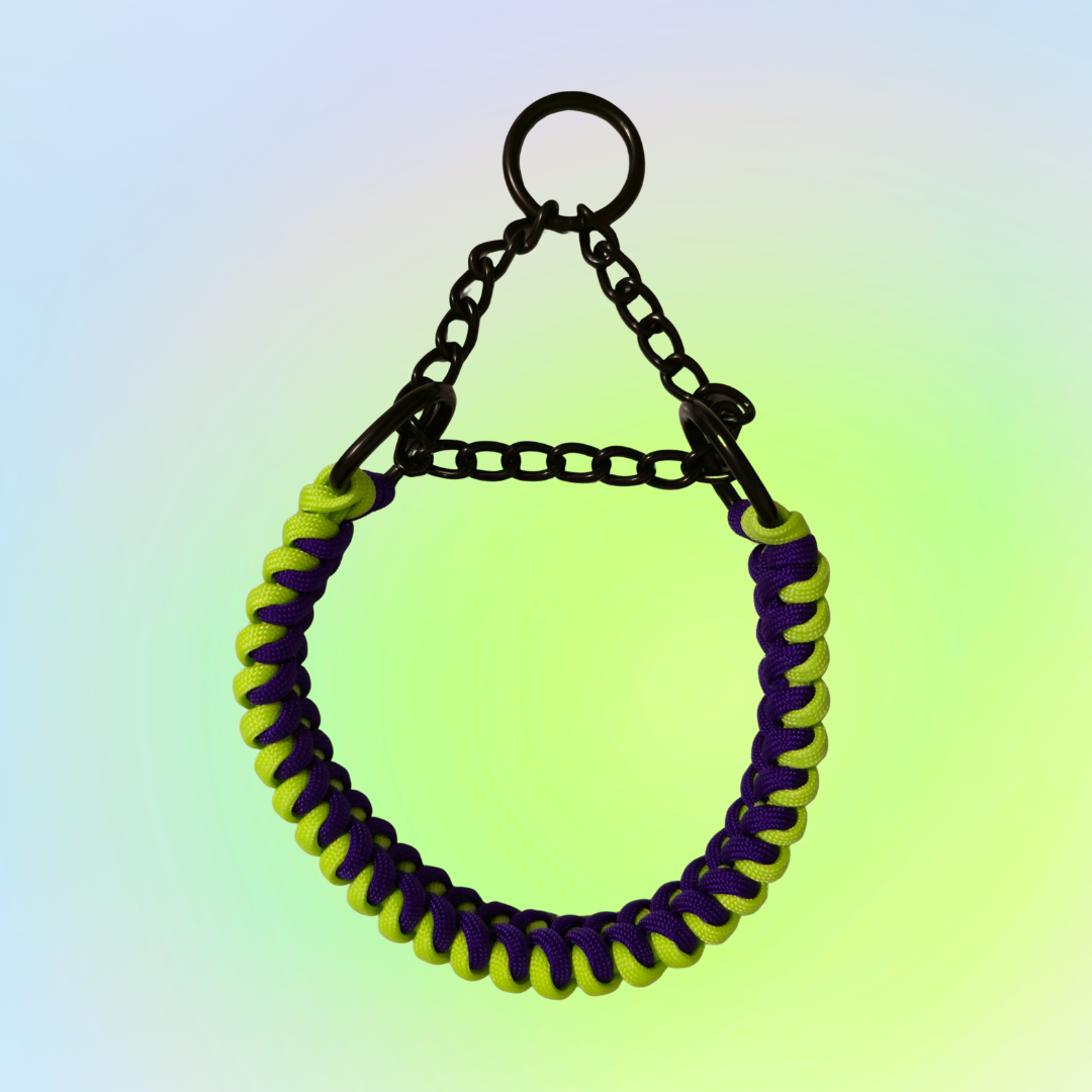 Martingale Check Chain Dog Collar