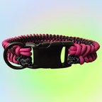 Medium Two Color Shark Knot Dog Collar