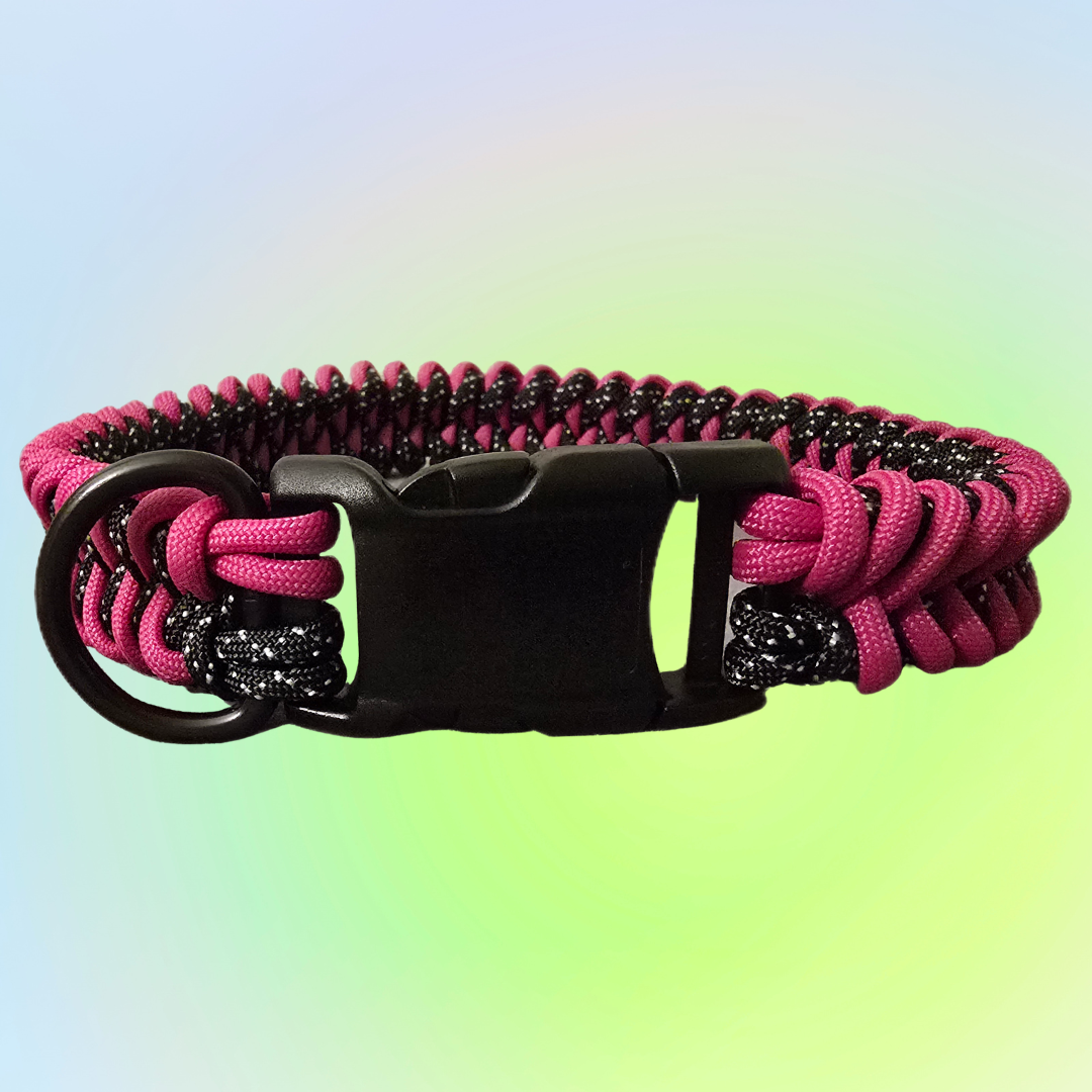 Medium Two Color Shark Knot Dog Collar