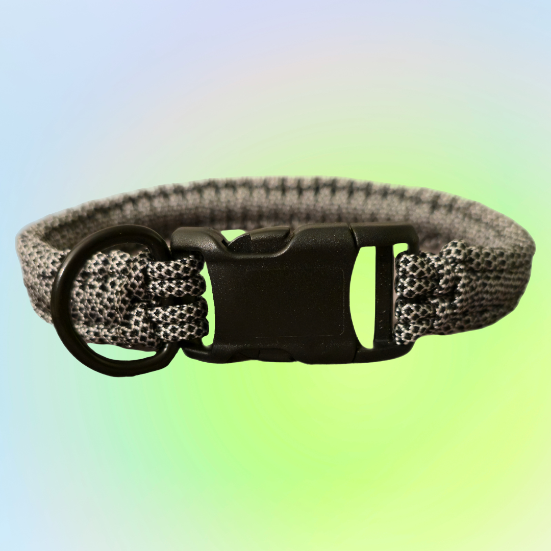 Medium One Color Square Knot Dog Collar
