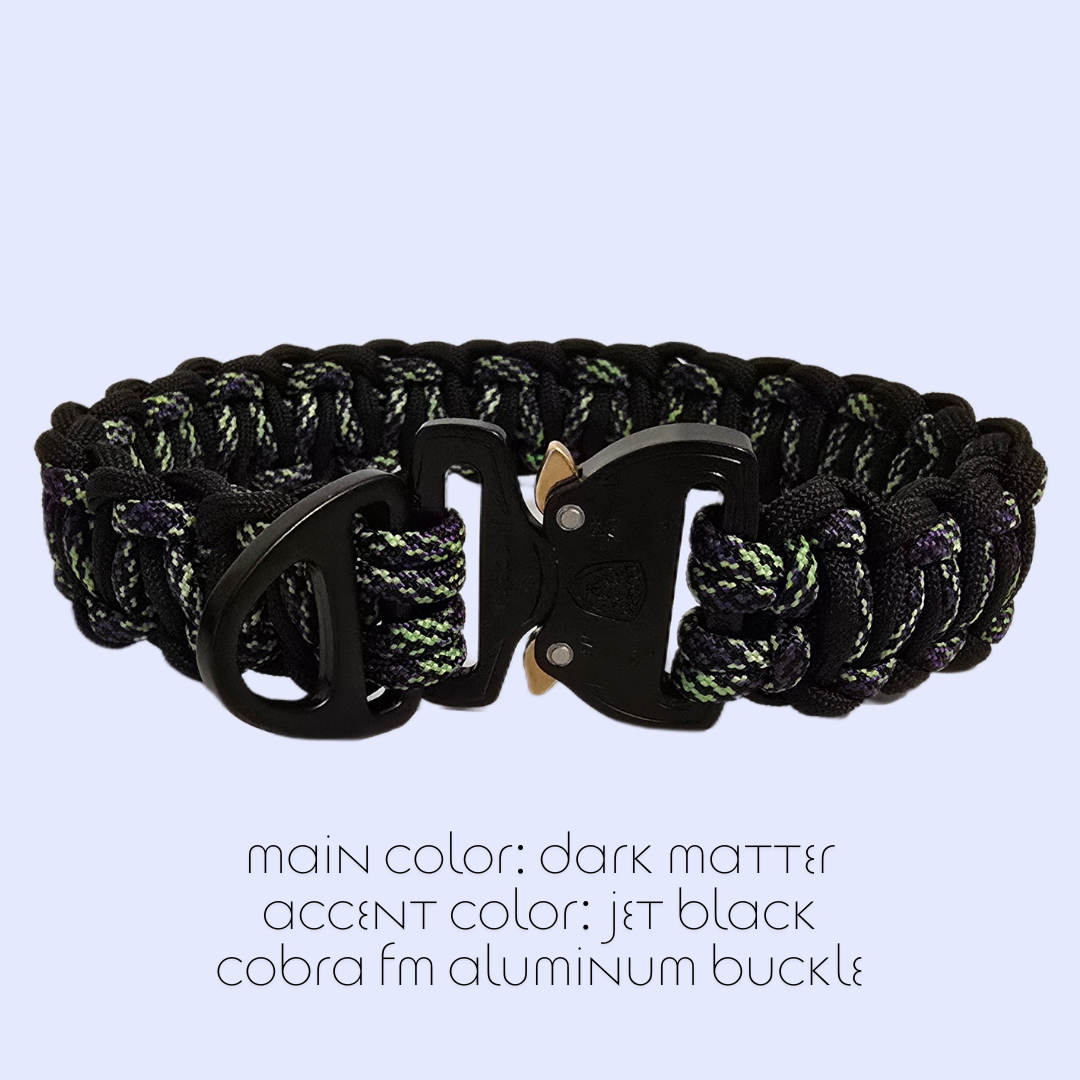 Solomon Dog Collar
