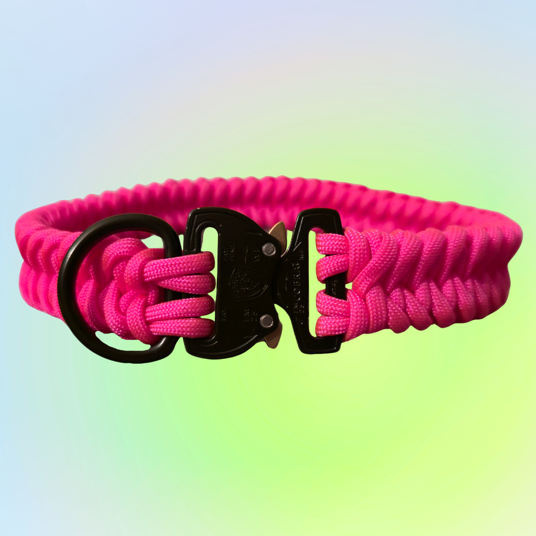 Medium One Color Shark Knot Dog Collar