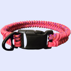 Shark Tooth Dog Collar