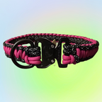 Medium Two Color Square Knot Dog Collar