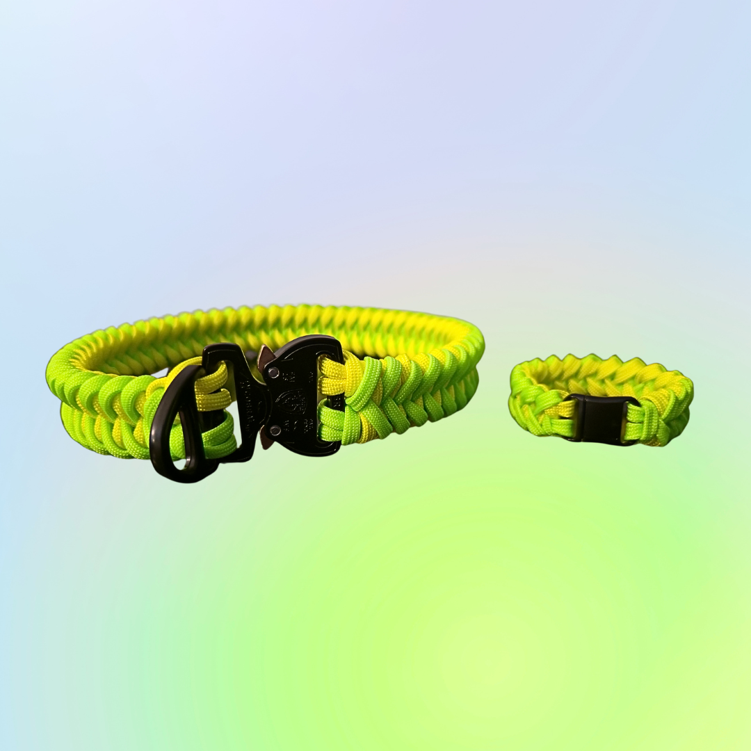 Doggo + Me Collar & Bracelet Bundle