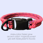 Shark Tooth Dog Collar