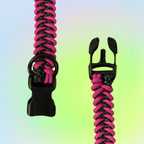 Medium Two Color Shark Knot Dog Collar