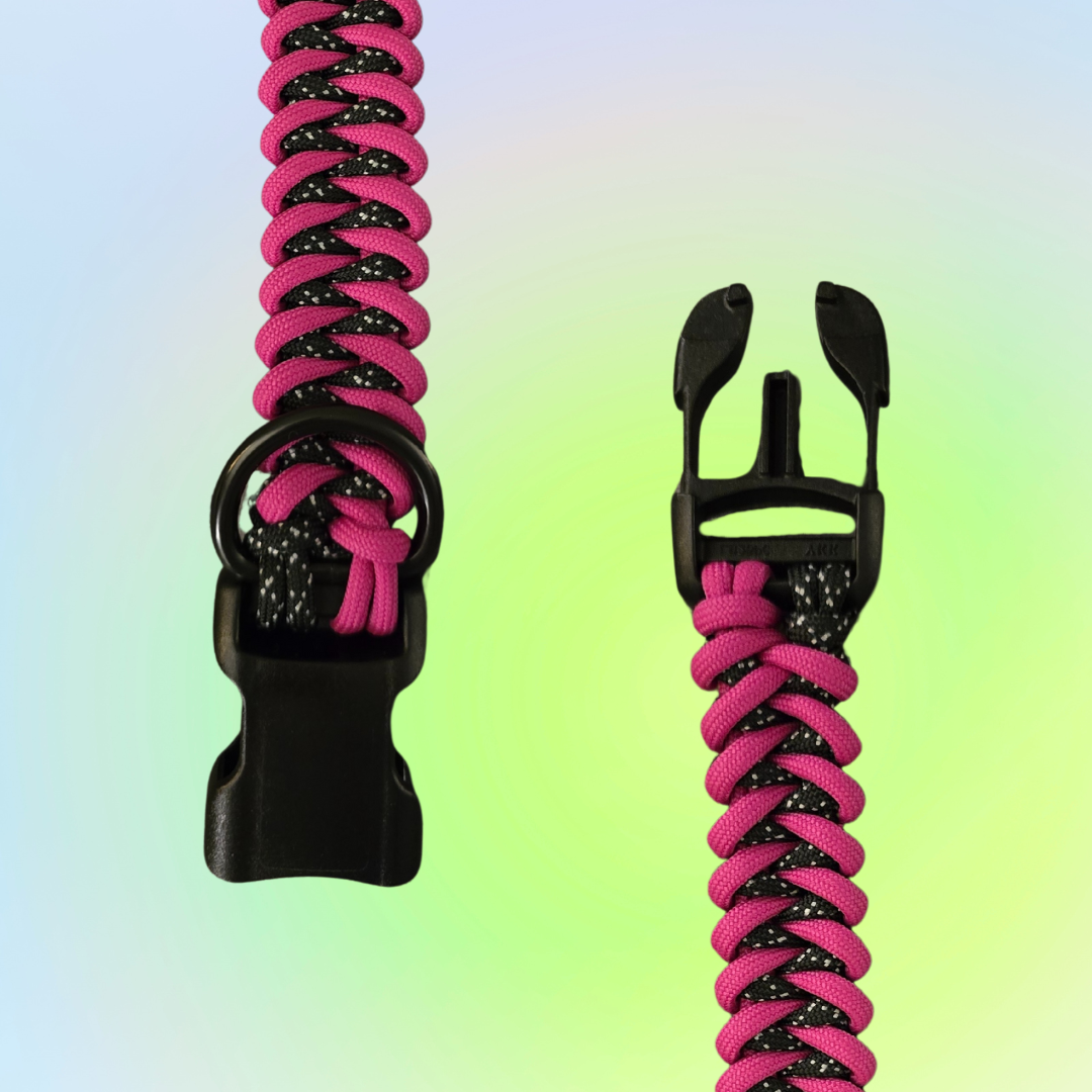 Medium Two Color Shark Knot Dog Collar