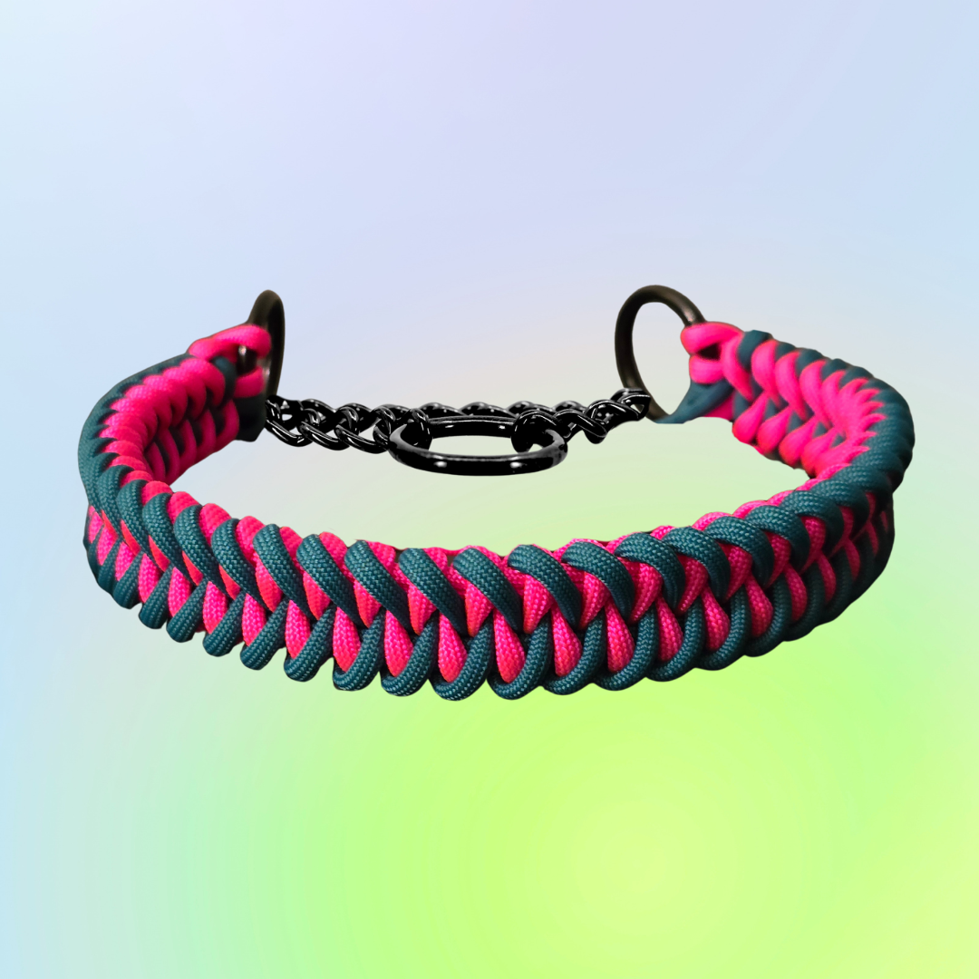 Martingale Check Chain Dog Collar