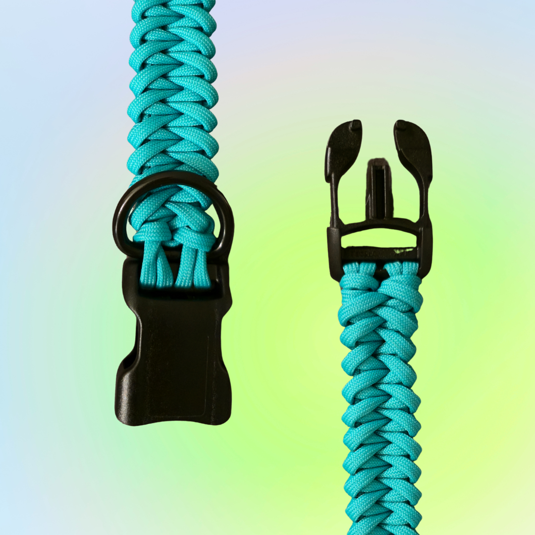 Small One Color Shark Knot Dog Collar