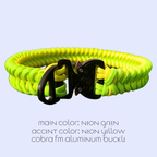 Shark Tooth Dog Collar