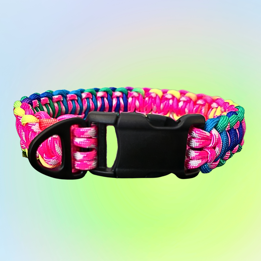 Large Two Color Solomon Dog Collar