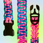 Medium Two Color Solomon Dog Collar