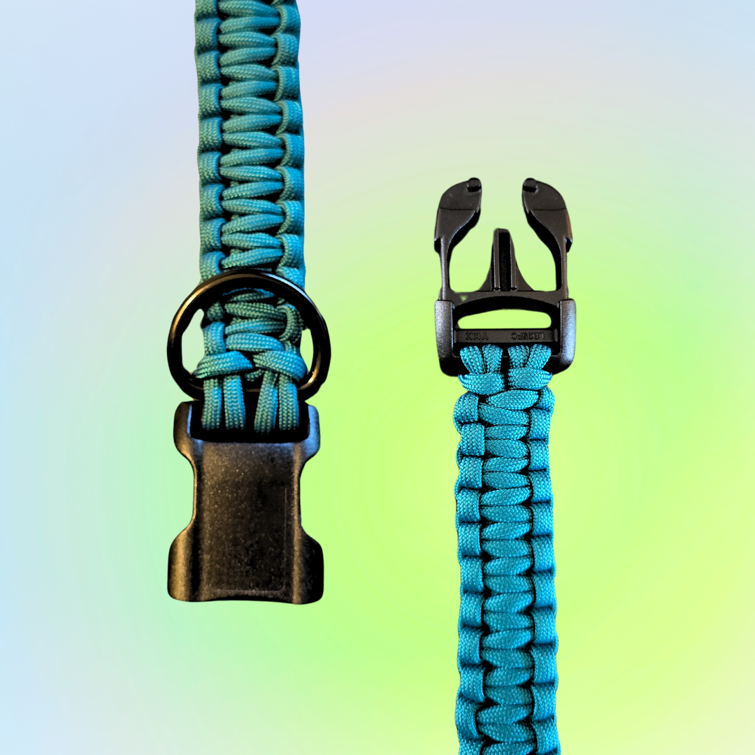 Small One Color Square Knot Dog Collar