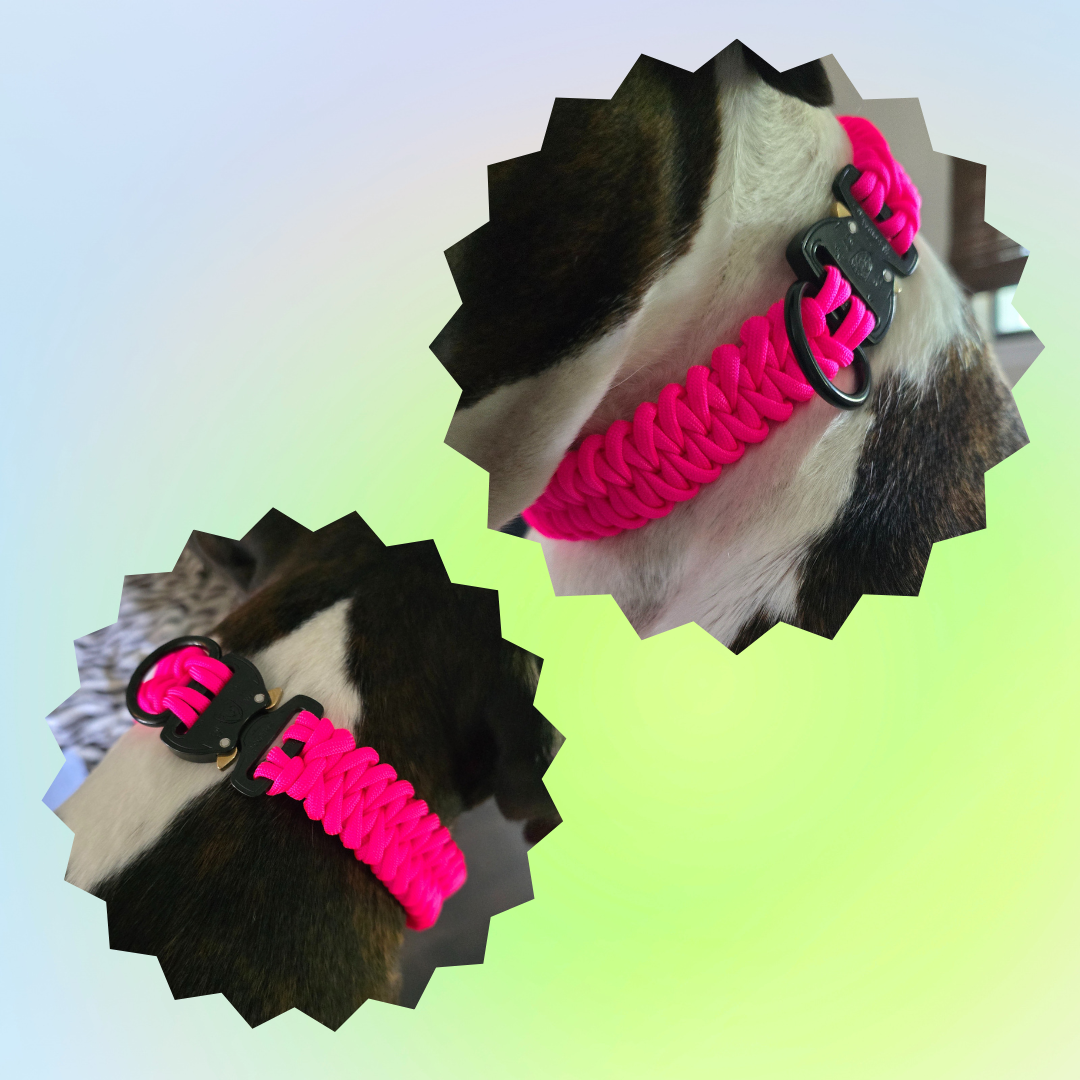 Small One Color Shark Knot Dog Collar