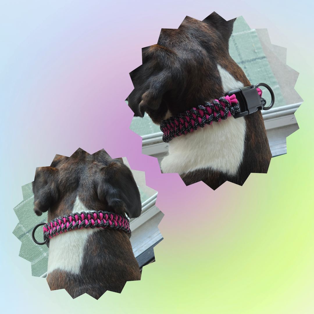 Large Two Color Shark Knot Dog Collar